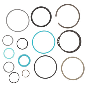 An assortment of circular mechanical seals and rings, including the Seal Set Hydraulic Cylinder - G001990011450 by AGCO, compatible with Fendt Vario machines, in various sizes and materials arranged on a white background.