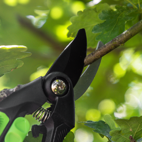 Bypass Secateurs with Soft Grip Handle, Safety Lock & Carbon Steel Blade, 208mm - SE-GTSG001