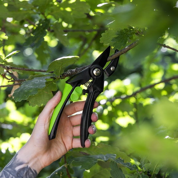 Anvil Secateurs with Soft Grip Handle, Safety Lock & Carbon Steel Blade, 208mm - SE-GTSG002