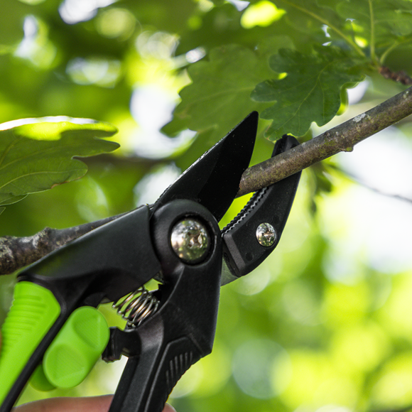 Anvil Secateurs with Soft Grip Handle, Safety Lock & Carbon Steel Blade, 208mm - SE-GTSG002