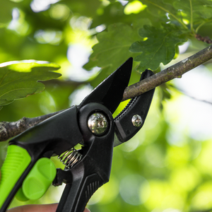 Anvil Secateurs with Soft Grip Handle, Safety Lock & Carbon Steel Blade, 208mm - SE-GTSG002