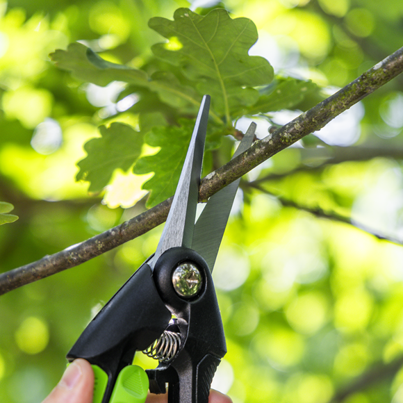Sealey Pruning Snips Soft Grip Handle & Carbon Steel Blade, GTSG003