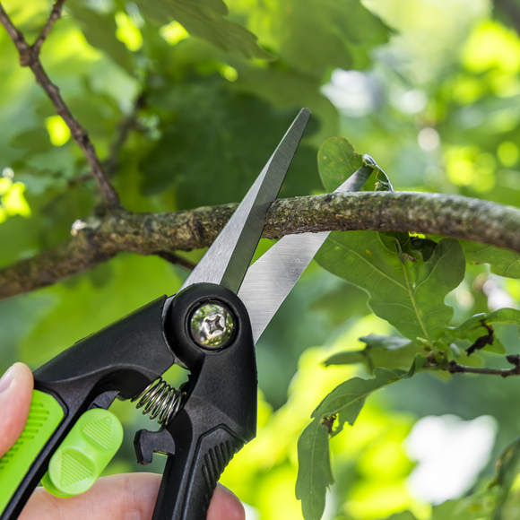 Pruning Snips with Soft Grip Handle & Carbon Steel Blade, 208mm - SE-GTSG003
