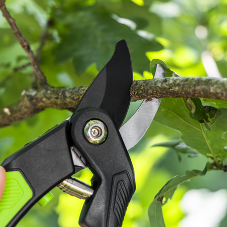 Bypass Secateurs with Soft Grip Handle, 3-Stage Safety Lock & Carbon Steel Blade, 220mm - SE-GTSG004