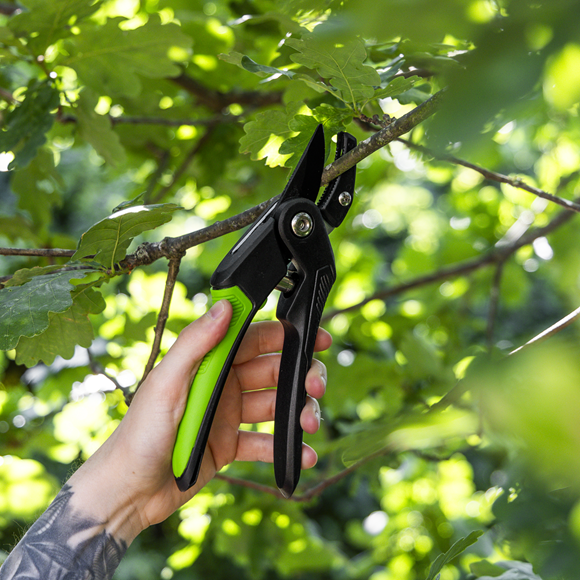 Anvil Secateurs with Soft Grip Handle, 3-Stage Safety Lock & Carbon Steel Blade, 220mm - SE-GTSG005