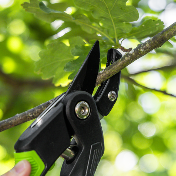 Anvil Secateurs with Soft Grip Handle, 3-Stage Safety Lock & Carbon Steel Blade, 220mm - SE-GTSG005