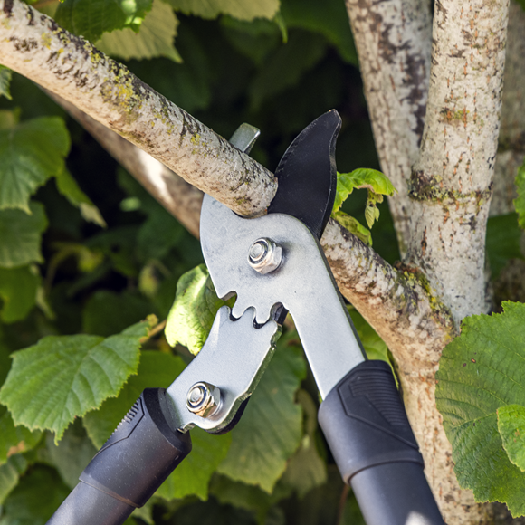 Bypass Lopping Shears with Soft Grip Handle, Geared & Carbon Steel Blade - SE-GTSG014