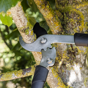 Bypass Lopping Shears with Soft Grip Handle, Geared & Carbon Steel Blade - SE-GTSG014