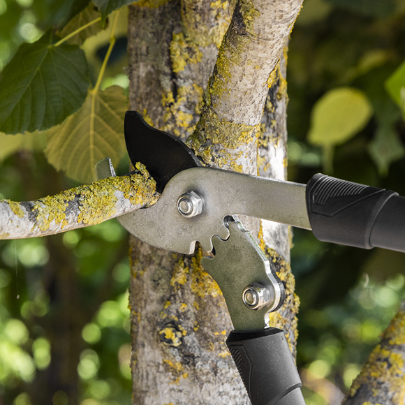 Bypass Lopping Shears with Soft Grip Handle, Geared & Carbon Steel Blade - SE-GTSG014