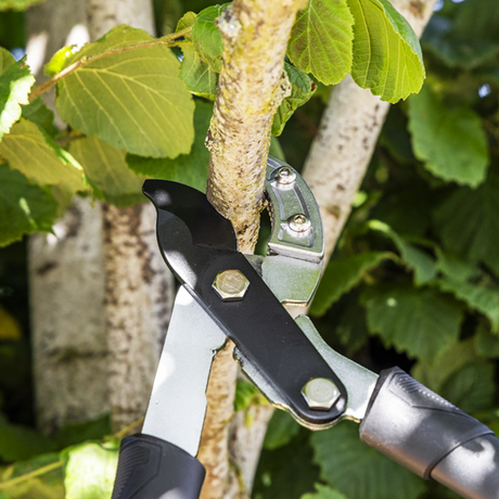 Telescopic Anvil Lopping Shears with Soft Grip Handle, Geared & Carbon Steel Blade - SE-GTSG017