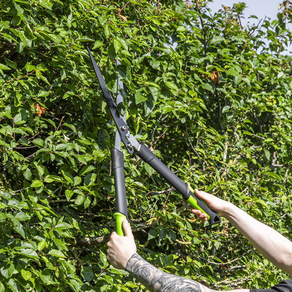 Hedge Shears with Soft Grip Handle & Carbon Steel Blade - SE-GTSG018