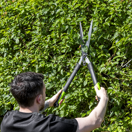 Hedge Shears with Soft Grip Handle & Carbon Steel Blade - SE-GTSG018