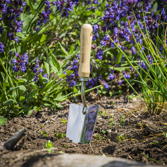 Sealey Premier Hand Trowel Hand Trowel Ash Handle & Stainless GTWH003