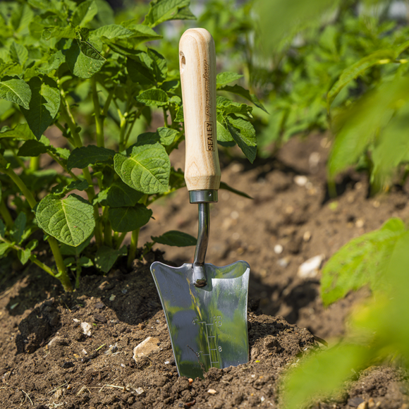 Premier Slim Head Trowel with Ash Handle & Stainless Steel Blade - SE-GTWH004