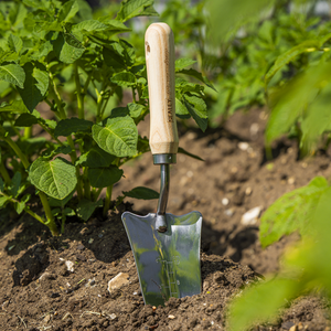 Premier Slim Head Trowel with Ash Handle & Stainless Steel Blade - SE-GTWH004