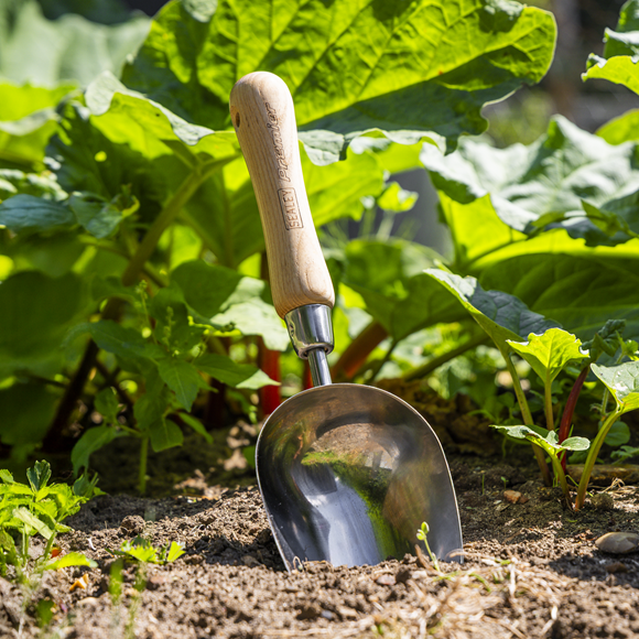 Premier Garden Scoop with Ash Handle & Stainless Steel Head - SE-GTWH006