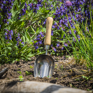 Premier Garden Scoop with Ash Handle & Stainless Steel Head - SE-GTWH006