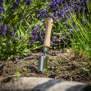 Premier Planter with Ash Handle & Stainless Steel Head - SE-GTWH008