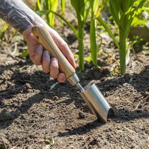 Premier Planter with Ash Handle & Stainless Steel Head - SE-GTWH008