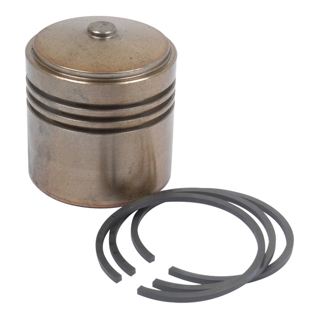A metallic cylindrical hydraulic piston, identified as the Sparex Hydraulic Piston (Part No.S.43019), featuring four stacked grooves, with three segmented piston rings placed beside it.