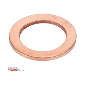 Injector Washer - 826218M1 - Massey Tractor Parts