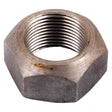 A close-up view of the Sparex Loader Tine Nut M30 (Part No. S.59764, to fit 241135) featuring a Metric Thread, with a threaded interior and slightly worn exterior.