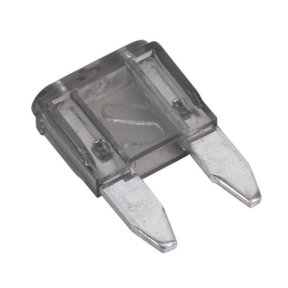 Automotive MINI Blade Fuse 2A Pack of 50 - MBF250 - Farming Parts