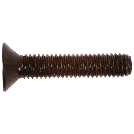 A close-up of a brown Metric Countersunk Hexagon Socket Screw with a M6x30mm thread and flat head (Sparex Part No. S.11798) against a white background.