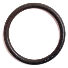O Ring 2 x 22mm 70 Shore
 - S.8969 - Massey Tractor Parts