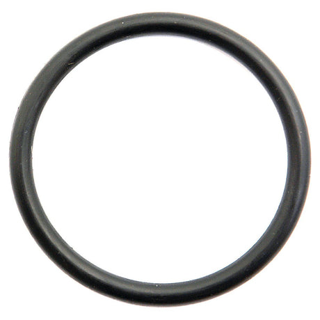 A Sparex NLA O'Ring, Part No. S.41500, compatible with Massey Ferguson equipment, isolated against a white background.