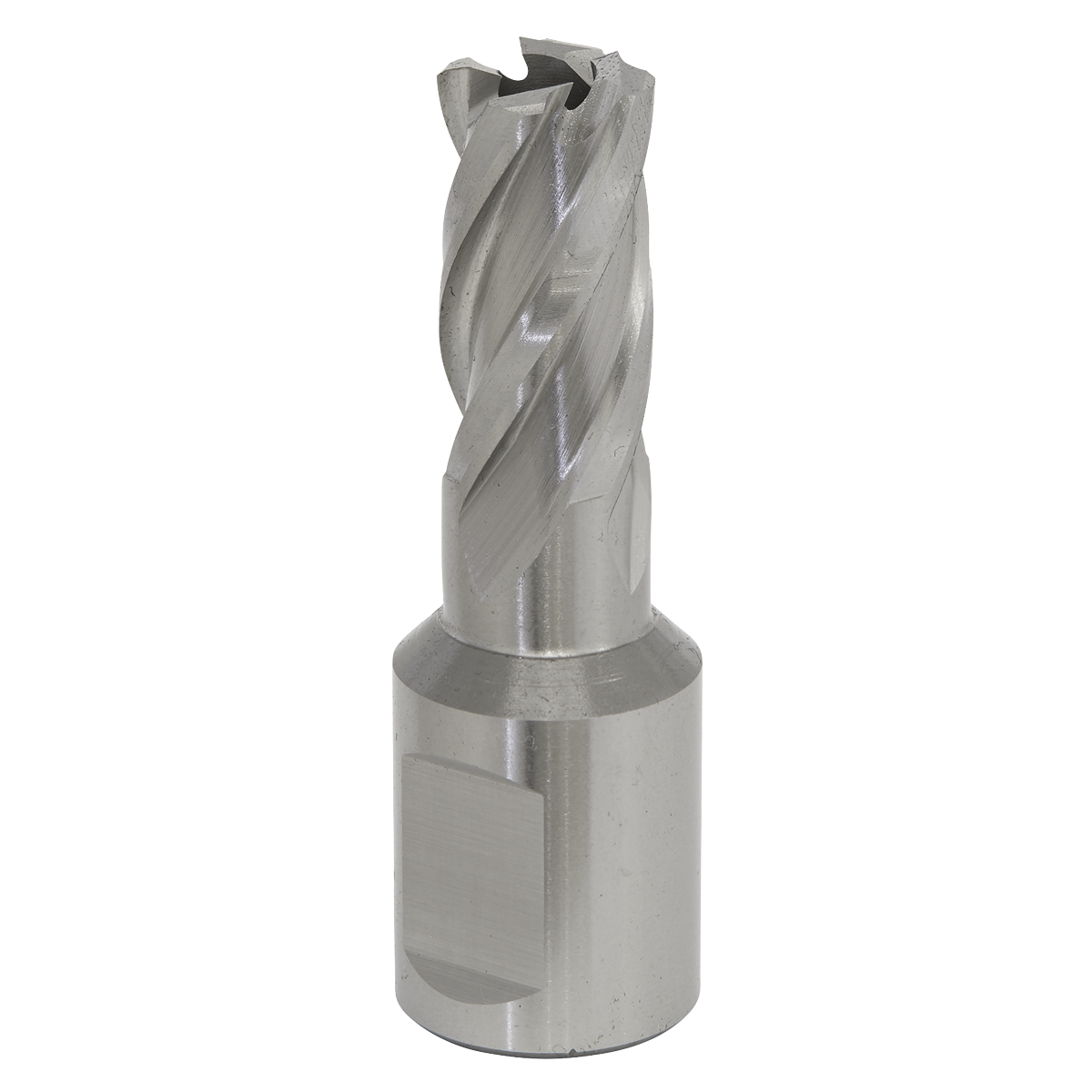 The Sealey Rotabor Cutter HSS Ø12mm - Cut Depth 25mm (RBHSS12S) is a high-precision milling tool featuring a cylindrical Weldon shank and helical flutes, crafted from HSS M2 steel, ideal for precise milling operations in machining.