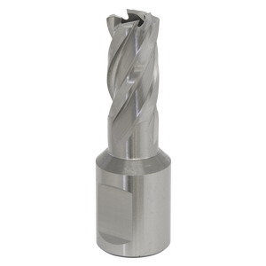 The Sealey Rotabor Cutter HSS Ø12mm - Cut Depth 25mm (RBHSS12S) is a high-precision milling tool featuring a cylindrical Weldon shank and helical flutes, crafted from HSS M2 steel, ideal for precise milling operations in machining.