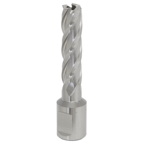 The Rotabor Cutter HSS Ø13mm - Cut Depth 50mm (RBHSS13L) by Sealey, made from high-speed M2 steel and featuring spiral grooves, stands vertically against a white background, ideal for achieving precise cutting depths.