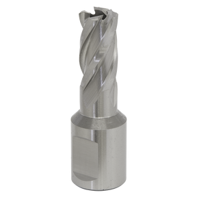 A close-up of the Sealey Rotabor Cutter HSS Ø13mm - Cut Depth 25mm - RBHSS13S, showcasing its spiral flutes and cylindrical shank with the universal 19mm Weldon shank for compatibility with magnetic drills.