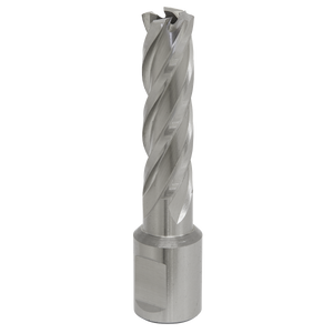 Introducing the Rotabor Cutter HSS Ø14mm - Cut Depth 50mm (RBHSS14L) by Sealey, a durable and precise metal drill bit featuring spiral flutes, crafted from premium HSS M2 steel for superior performance in cutting and shaping materials.