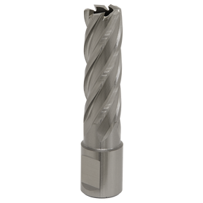 Close-up of a Rotabor Cutter HSS Ø17mm - Cut Depth 50mm - RBHSS17L made from HSS M2 steel by Sealey, featuring a silver, spiral-toothed design, used for machining and milling applications.