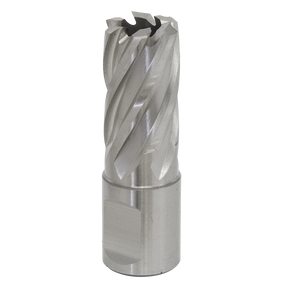 The Sealey Rotabor Cutter HSS Ø18mm - Cut Depth 25mm - RBHSS18S is a metal cylindrical cutting tool made from HSS M2 steel, featuring spiral flutes and a flat Weldon shank, ideal for drilling and machining applications, particularly when used with magnetic drills.