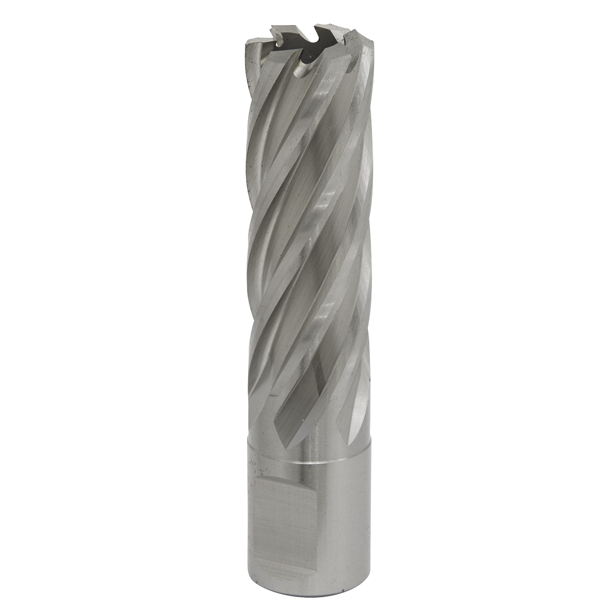 The Rotabor Cutter HSS Ø19mm - Cut Depth 50mm - RBHSS19L by Sealey is a high-speed steel (HSS M2) end mill with helical flutes, designed for cutting and shaping materials in machining processes. Perfect for use in magnetic drills, it features a universal 19mm Weldon shank for versatile applications.