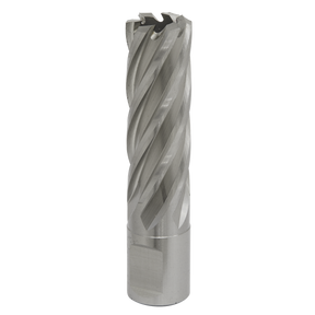 The Rotabor Cutter HSS Ø19mm - Cut Depth 50mm - RBHSS19L by Sealey is a high-speed steel (HSS M2) end mill with helical flutes, designed for cutting and shaping materials in machining processes. Perfect for use in magnetic drills, it features a universal 19mm Weldon shank for versatile applications.