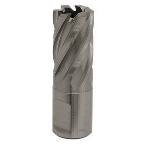 Rotabor Cutter HSS Ø19mm - Cut Depth 25mm - RBHSS19S - Farming Parts