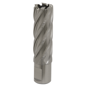 Rotabor Cutter HSS Ø21mm - Cut Depth 50mm - RBHSS21L - Farming Parts