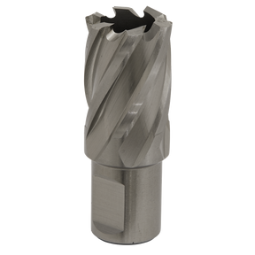 Rotabor Cutter HSS Ø22mm - Cut Depth 25mm - RBHSS22S - Farming Parts