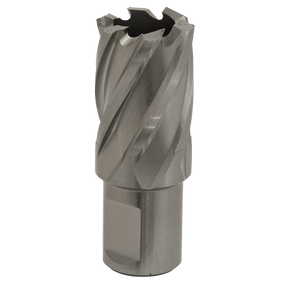 Rotabor Cutter HSS Ø23mm - Cut Depth 25mm - RBHSS23S - Farming Parts