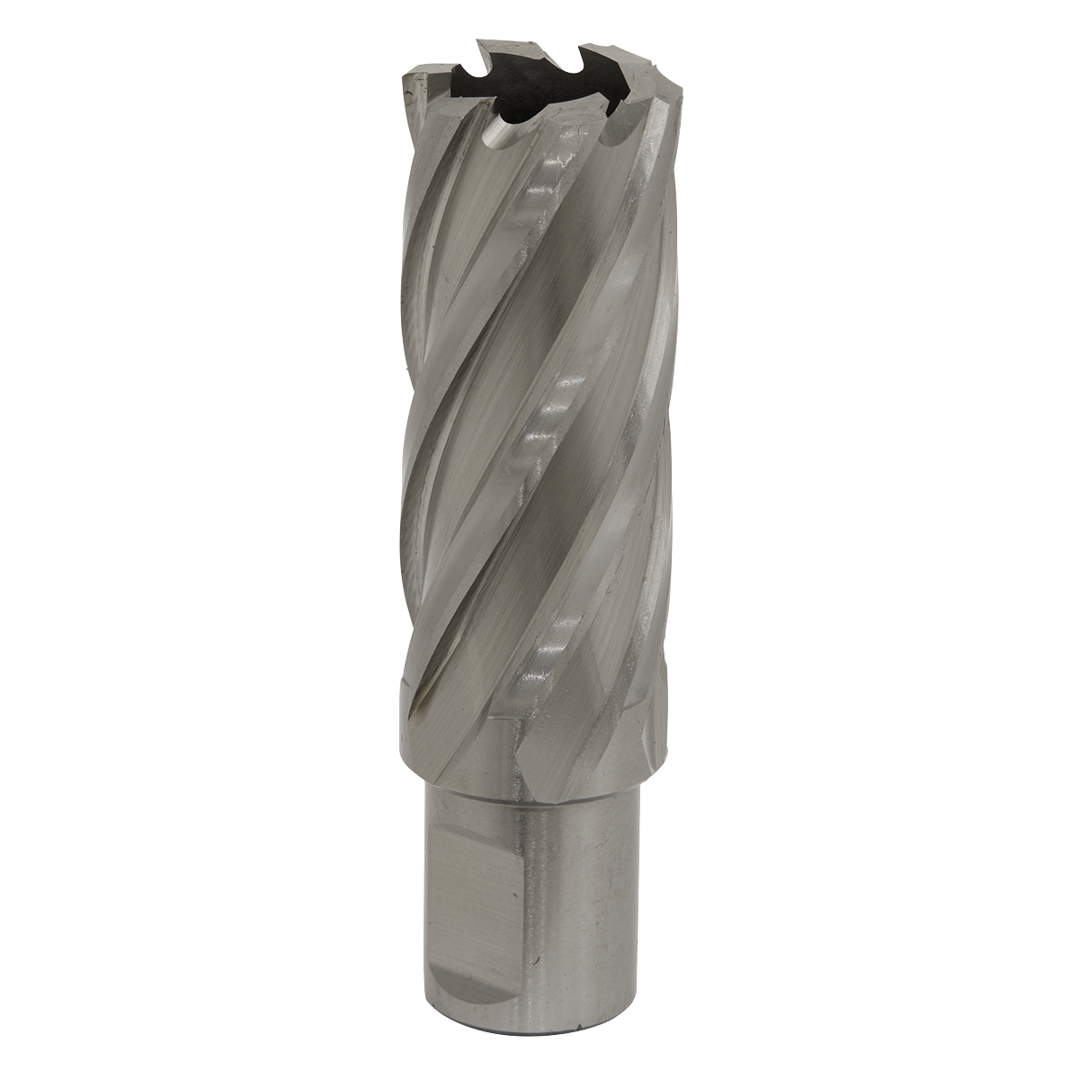 The Rotabor Cutter HSS Ø24mm - Cut Depth 50mm - RBHSS24L by Sealey, a metallic cylindrical cutting tool with spiral grooves and a flat base, made from durable HSS M2 steel, is typically used for drilling or machining purposes and is shown against a white background.