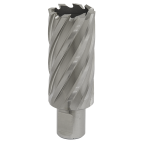 The Sealey Rotabor Cutter HSS Ø28mm - Cut Depth 50mm - RBHSS28L, a silver-colored annular cutter with spiral flutes crafted from HSS M2 steel, is shown against a white background. The versatile design features a Universal 19mm Weldon shank, making it compatible with magnetic drills.