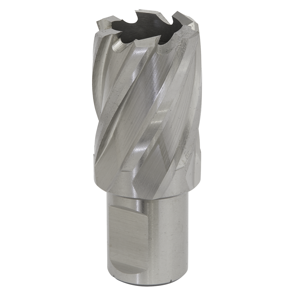 The Sealey Rotabor Cutter HSS Ø28mm - Cut Depth 25mm - RBHSS28S is a silver cylindrical drill bit with helical grooves and multiple cutting edges, made from high-quality HSS M2 steel for superior durability. It is designed for use with magnetic drills and features a 19mm Weldon shank for secure attachment when drilling or machining metal.