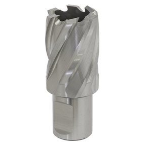 The Sealey Rotabor Cutter HSS Ø28mm - Cut Depth 25mm - RBHSS28S is a silver cylindrical drill bit with helical grooves and multiple cutting edges, made from high-quality HSS M2 steel for superior durability. It is designed for use with magnetic drills and features a 19mm Weldon shank for secure attachment when drilling or machining metal.