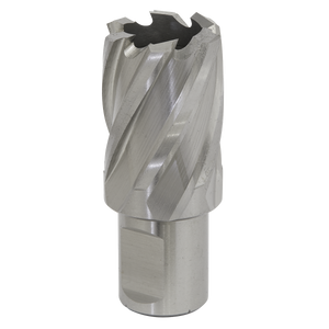 The Sealey Rotabor Cutter HSS Ø28mm - Cut Depth 25mm - RBHSS28S is a silver cylindrical drill bit with helical grooves and multiple cutting edges, made from high-quality HSS M2 steel for superior durability. It is designed for use with magnetic drills and features a 19mm Weldon shank for secure attachment when drilling or machining metal.