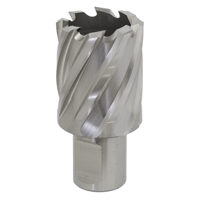 Rotabor Cutter HSS Ø29mm - Cut Depth 25mm - RBHSS29S - Farming Parts