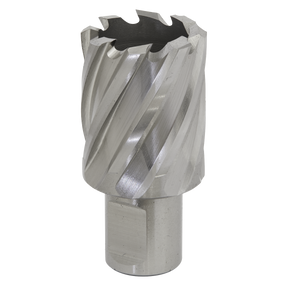 Close-up image of the Sealey Rotabor Cutter HSS Ø30mm - Cut Depth 25mm - RBHSS30S, a metallic annular cutter featuring spiral flutes and a cylindrical shank, ideal for precise cutting depths when used with magnetic drills.